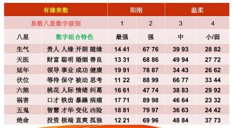 数字玄学车牌